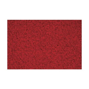 ���Y�� �V���r�A�}�b�g 900×1200mm �� 4981390220536 1�_