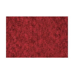 ���Y�� �n�C�V���r�A�}�b�g 900×1200mm �� 4981390502243 1�_