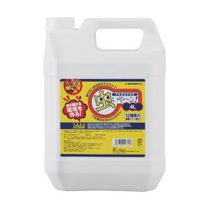 Y `4L 4981390543703 1_