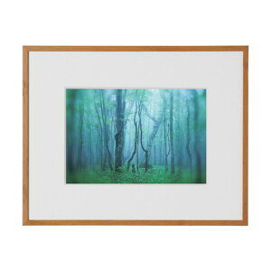 �P���R�[�E�g�L�i�[ �A���~�z�� �M�������[ 2L �i�`������(�ؖڒ�) AGY-2L-NA 1��