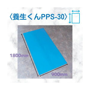 ����{ �{������ �� 3.0mm×900mm×1800mm PPS-30 10��