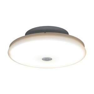 ACXI[} ^V[OCg ` 1200lm lZT[t dF SCL12LMS-UU 1