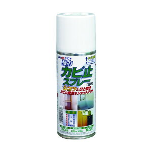 AgnEXyCg Jr~Xv[ 300ML