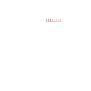 LOR[|[V `3 100g/m X~\ zCgPg 80127 1000
