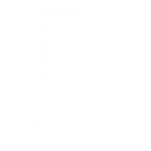 LOR[|[V p`1 100g A500X1 10204 500