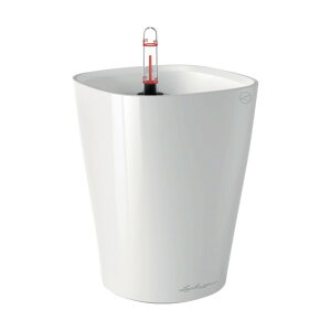 geobra ʋv^[ feB[j ye1.2L zCg 14900 1_