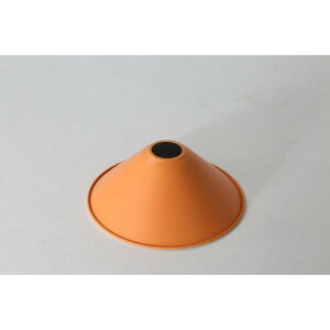 GAhGC ACAVF[h M^ 񖳂 26cm VF[hE[AbvXN[ IW 1