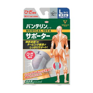 a oeR[T|[^[ Ђp傫߃TCY Vo[O[ 23069 1_