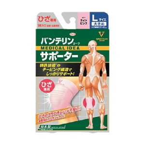 a oeR[T|[^[ Ђp傫߃TCY CgsN 23085 1_