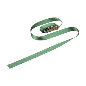 {Ώ\ ג߃xg(xbN)BLC]50 gp׏d500kg 50mm×5m 351003 1y2506DFD_5z