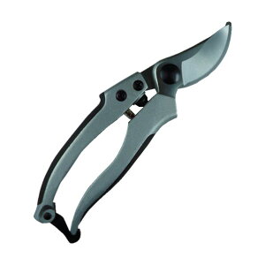 i DAISHIN@EG@A~_CLXgDX 502099 1_