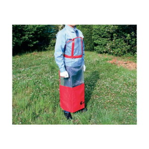 @lpinXNo[iE[mA V[gtGvPro 584294701 1_