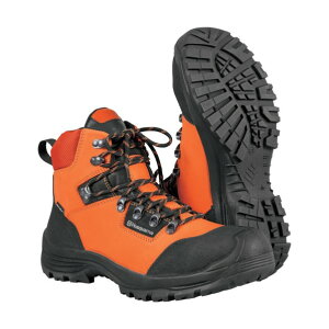 nXNo[iE[mA K[fu[ceNjJ (38) 597659538 1_