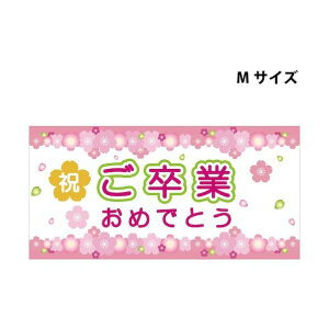 O[NX X`{[h|bvMTCY SBPM-11 Ƃ߂łƂ 6300036333 1