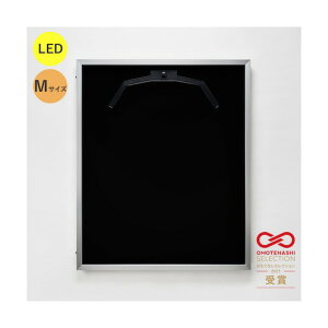 g[h LEDjtH[P[X MTCY (t[:Vo[ z:ʒ) ʏAN 6300036800 1