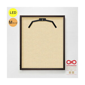 g[h LEDjtH[P[X MTCY (t[:I[N z:[vʒ) ʏAN 6300036817 1