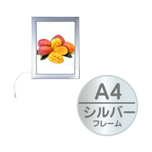 g[h C[W[Cgpl p cVo[ A4 p^ (59481A4*) 6300037149 1