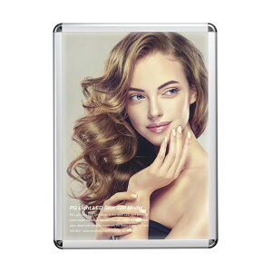 �g���[�h PG���C�gLED�X���� PG-32R �����p �c���L�V���o�[�c���LAG+C B2 R�^ �X�^���h�d�l 6300037235 1��