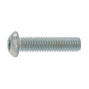 サンコーインダストリー 三価ホワイト ボタンCAP(日産ネジ JIS B1174 10×30 A0-00-100N-0100-0300-03-10 10本