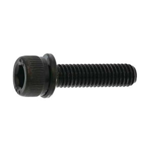 �T���R�[�C���_�X�g���[ �O���u���b�N 10.9CAP P=2 ����S�H���� 6 X 45 A0-00-902J-0060-0450-04 100�{