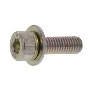 �T���R�[�C���_�X�g���[ �O���z���C�g 10.9CAP P=1 ����S�H���� 6 X 10 A0-00-901J-0060-0100-03-40 40�{