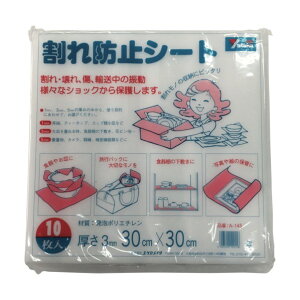 ^JCN ^JɏՍފh~V[g3t×300×300 A145 10