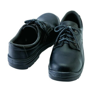 ACgX Z[teBV[YiE^ZCqjijpj 25.0 010ubN 59811 1_