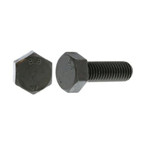 �T���R�[�C���_�X�g���[ �O���z���C�g 8.8 �Z�p�{���g ���{�t�@�X�i�[�� 12X125X30 B0-00-F300-0120-1250-03 50�{