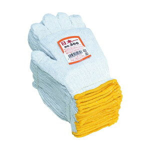 ӂ {R t[TCY  No.300 1