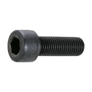 �g���X�R �Z�p���t�{���g �ז� �X�`�[��(SCM435) ������ M12×25 P1.25 10�{�� B150-1225P1.25 1�_