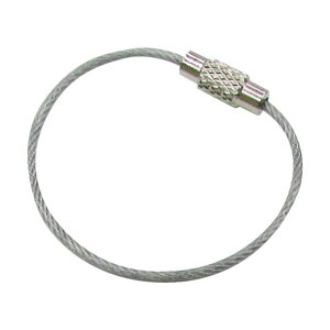 ���{�@�B �L�[���C���[�z���_�[ ���C���[�a1mm�S��150mm �N���A�[ B-2956 1��