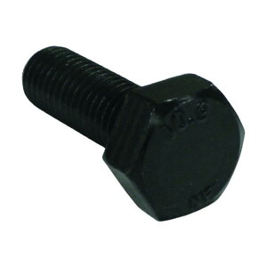 �R�m�G ���x�敪10.9 �Z�p�{���g �S�˂� M24x40 BT-109-F-2440 25�{