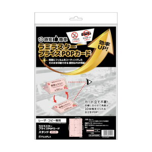 qTS ~X^[ vCXPOPJ[h X^h sN CPP103PS 1_