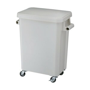 �e�����g�~�[�p�L���X�^�[�y�[���r����t�O���[DS2606456