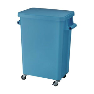 �e�����g �~�[�p�L���X�^�[�y�[���r����t �u���[ DS2606703 1�_�y2512DFD_3�z