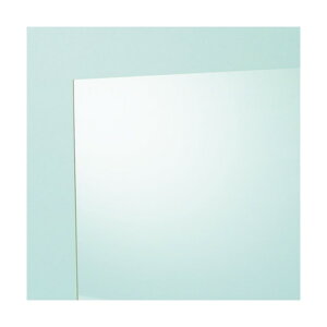 ���@�l��p�i���A�N���T���f�[ EX��(�A�N������) 650×1090×2(mm) ���� EX001 L 2 1