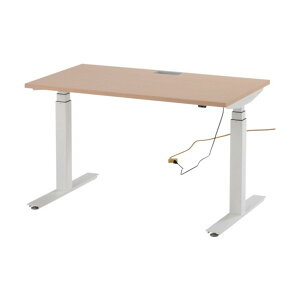 ※法人専用品※藤沢工業 電動昇降式ワークデスク FWD-W127-NR 1