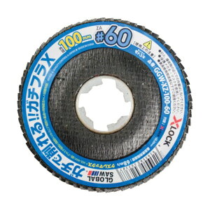 gL O[o\[K`tX(10) GGW-XZ-100-60(10P) 10