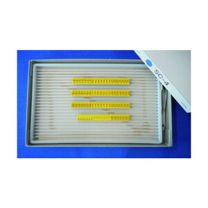 RY SC|4iZbgj KJ-SC-04 1