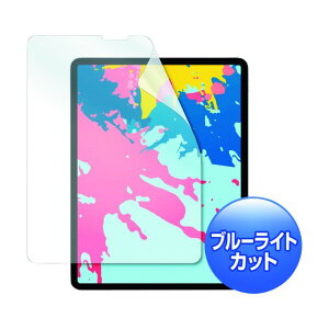TTvC Apple 12.9C`iPad Pro 2018pu[CgJbgtیwh~tB LCD-IPAD11BC 1_