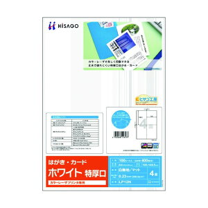 qTS J[[Uv^p ͂EJ[h 4/zCg  LP12N 100