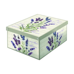 ebNX X^bLORei[ x_[L LVTBXLVL 1_