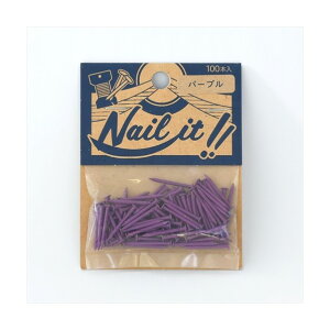 Y NAILITB17×19 p[v NF10023 100{
