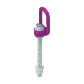 ルッドリフティングジャパン RUD　ロードリングプラスロングボルト　VLBG−PLUS−M12L VLBG-PLUS-M12L 1点