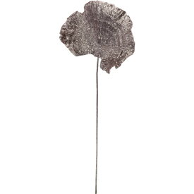 楽天市場 ポリポアの通販