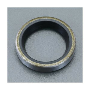 GXR(esco) ICV[(GM/jg) 50×58×5mm EA423TF-50 1