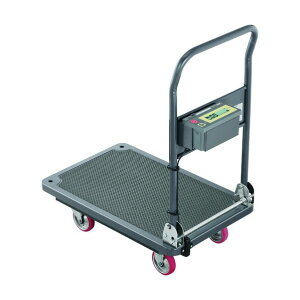 @lpiG[EAhEfB J[gXP[ SD100 JCSSZt SD100-00J00 1