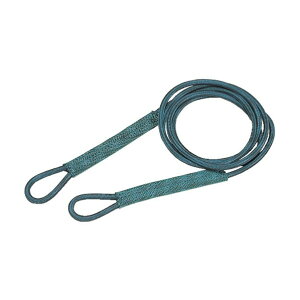 �g���X�R(TRUSCO) �Z�t�e�B�p���[���[�v�V���u���Ȃ�6mmX2m 404 x 102 x 67 mm SP-62