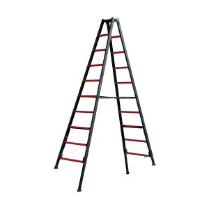 ���@�l��p�i���A���C���R(ALINCO) �㕔���쎮�L�k�r�t�͂������p�r�� GAUDI GUD-240X 1��