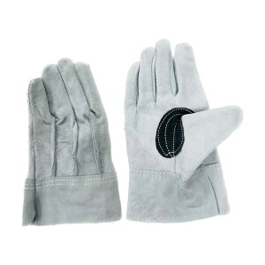 쑺쏊 v wD () t[ 301 1_×10o